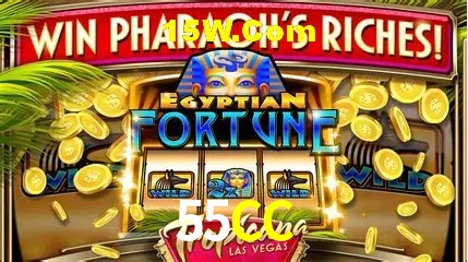 55CC - cassino ao vivo